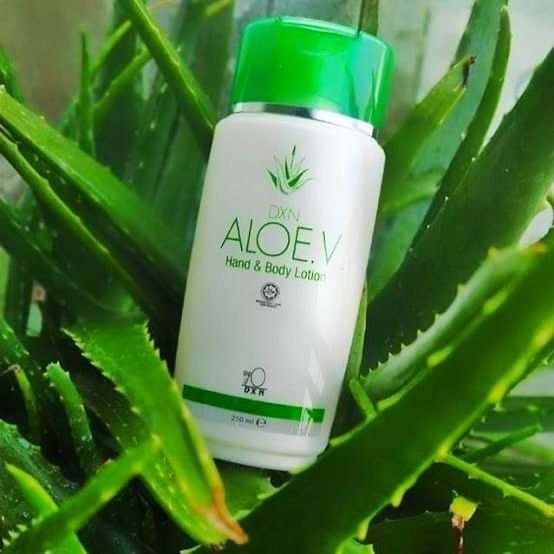 DXN Loción para Manos y Cuerpo Aloe.V