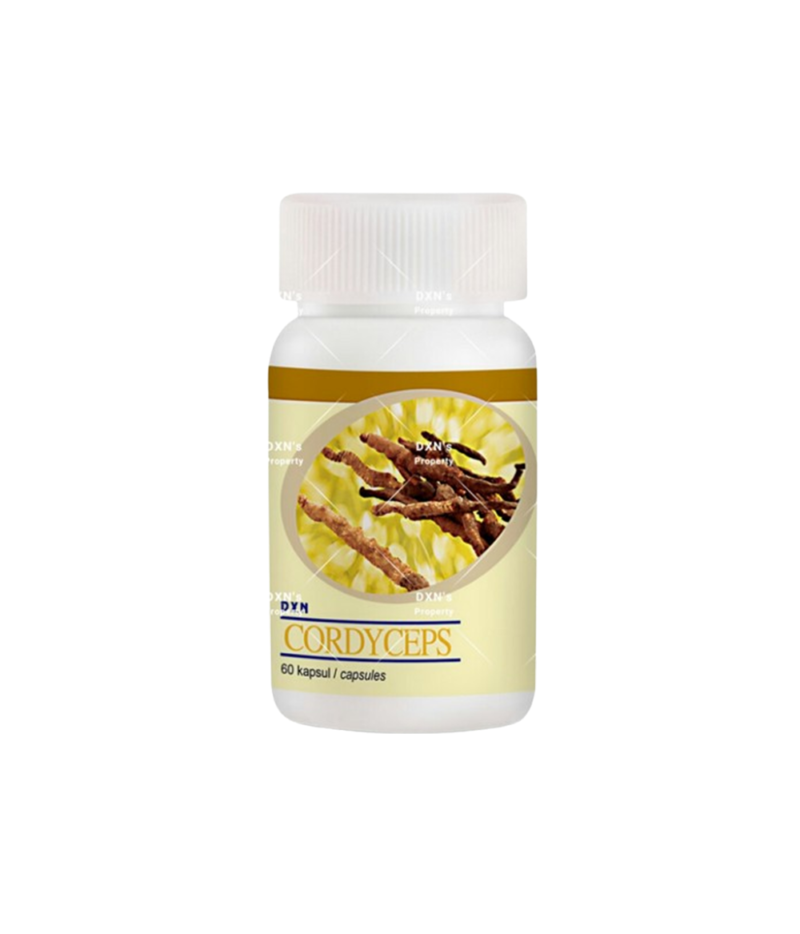 DXN Cordyceps