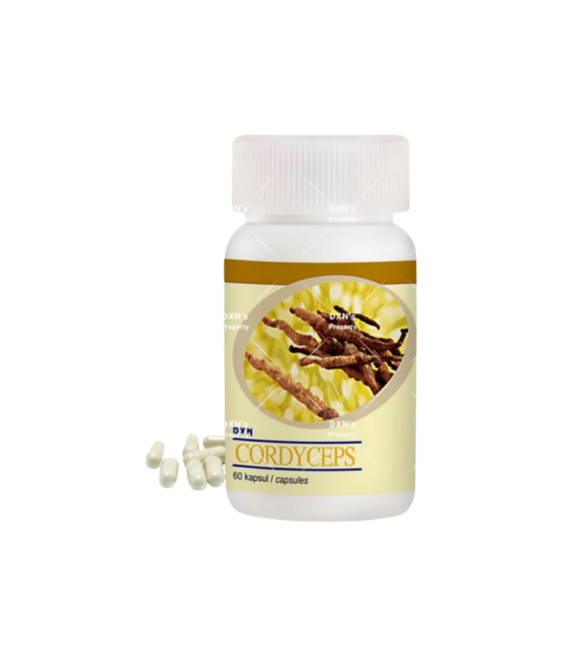 DXN Cordyceps