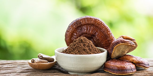 El Ganoderma (Reishi) en los productos de DXN